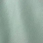 Ditre Italia Polar 264 leather texture, pale green, granular grain with matte finish and subtle tonal variations for upholstery.