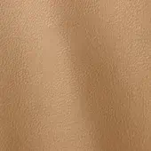 Ditre Italia Polar 295 leather texture, golden-brown with granular surface, matte finish, and subtle tonal variations for upholstery.