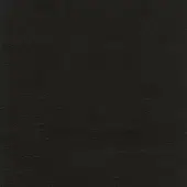 Dark leather texture displaying a granular, matte finish with subtle tonal variations and a dense, uniform composition.
