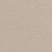 Light beige leather texture with a mottled grain pattern and matte finish, displaying subtle tonal variations and a smooth, consistent surface.