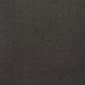 Charcoal gray fabric sample displaying a dense, granular texture with a matte finish and repeating dot pattern; siena 110221 collection.