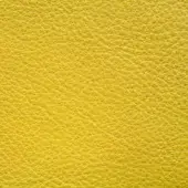 Lemon grass leather texture with a densely pebbled grain and smooth, glossy finish against a white backdrop.