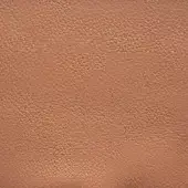 Ascot leather texture, warm brown full-grain, dense granular pattern, matte finish, pottery treatment, erba collection sample.