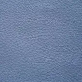 Light blue pebble-grain leather texture with a matte finish, displaying a dense network of small creases; identified as “ascot steel bird”.