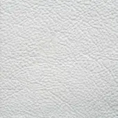 White pebble-grain leather texture with matte finish, displaying “erba > leathers > ascot > zinc” label on a white background.