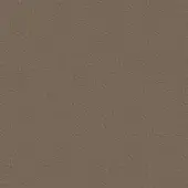 Taupe leather texture with irregular pores, a matte finish, and subtle grain variations; identified as erba crystal gesso leather.