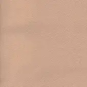 Rose leather texture with a fine, consistent grain and matte finish, displaying subtle tonal variations across a smooth, pebbled surface.