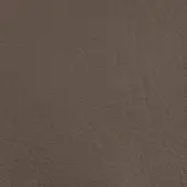 Brown leather texture sample, intricate grain pattern, matte finish, from the erba collection leather (c) crystal range.
