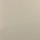 Leather swatch pale beige fine-grained texture matte finish sample marking white background natural material detail closeup.