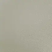 Light beige Piumone Ecru leather texture with a fine grain, matte finish, and subtle tonal variations, from the Erba leather collection.
