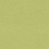 Lacividina fabric texture, yellowish-green woven surface, dense granular pattern, matte finish, uniform appearance, code ys096.