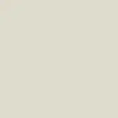 Beige fabric swatch displaying a granular woven texture, consistent warm tone, and subtle surface roughness; brand text present.