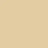 Lacividina fabric sample, warm beige textured weave, subtle granular matte finish, neutral tone, diffused studio lighting.