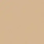 Beige seamless texture with a matte finish and granular surface, displaying a consistent, neutral tone reminiscent of sand or light clay.
