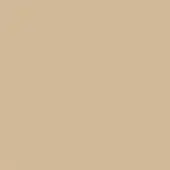 Beige fabric swatch with a subtle woven texture and matte finish, presented in a studio setting with a neutral, solid color composition.