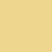 Matte yellow surface with granular texture, presenting a solid, uniform color resembling pale mustard or muted gold, lacking patterns or branding.