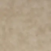 Beige fabric sample displaying a mottled texture with light tan tones, a matte finish, and a diffused, granular surface quality.