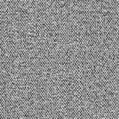 Grayscale granular texture with irregular oval shapes, dense mottled pattern, rough porous surface, uniform chaotic arrangement, natural organic appearance.