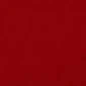 Red fabric texture displaying a dense, uniform weave and granular surface with consistent color and diffused, even lighting.