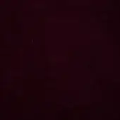 Burgundy velvet fabric texture with a dense pile and uniform color, displaying a muted wine-red hue; lacividina Superb collection sample.