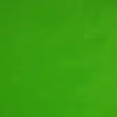 Green fabric texture sample displaying a woven, granular surface with even density and a saturated, medium-toned grassy hue.