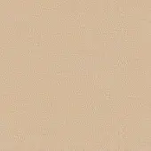 Beige fabric sample displaying a tight woven texture with horizontal ribbing and granular appearance, resembling linen or cotton blend.