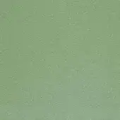 Lacividina fabric sample, sage green woven texture, matte finish, uniform surface with granular detail, product code f 1200 c0856.