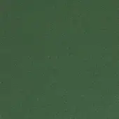 Green woven fabric texture with a granular surface and matte finish, suitable for upholstery or drapery applications.