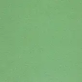 Textured green fabric sample displaying a granular woven texture and matte finish with consistent, diffused lighting throughout the composition.