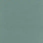Woven fabric in muted green, matte texture, consistent cool tone, granular surface, natural or synthetic fiber, understated elegance.