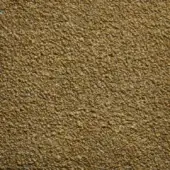 Woven fabric texture, golden-brown wool blend, short looped pile with subtle irregularity; “22 Orsetto” sample detail.