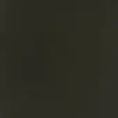 Dark brown teraskin nappa leather texture sample with a smooth, subtly pebbled surface and matte finish.