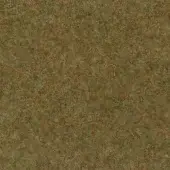 Dry grass texture, muted olive green and reddish-brown tones, dense fibrous composition with uneven mottled surface and no directional pattern.
