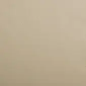 Beige leather texture with fine perforations, displaying a granular pattern and warm neutral tones; imperial leather sample 0504.