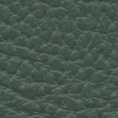 Green pebble grain leather sample, matte finish, geometric embossing, durable texture, “425” from “44 lux1” within lacividina leather collection.