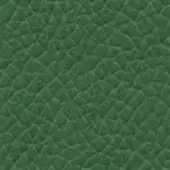 Dark green leather texture with a pebble-grain pattern, matte finish, and subtle tonal variations suggesting a durable, high-quality material.
