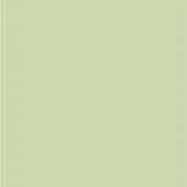 Desaturated green color swatch, “tè verde” tone, uniform flat surface, metallic finish inspired palette, isolated visual reference.