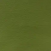 MDF Italia fabric sample, light green pebbled texture, “time tl15” r895 col. 16086, consistent fine grain, studio lighting.