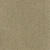 Rectilinear fabric sample in olive green and beige tones displays a dense, matte weave; MDF Italia Garc collection, acid green R540 col.436.