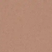 Terracotta texture sample displaying a granular, speckled pattern and consistent matte finish, ideal for upholstery applications.
