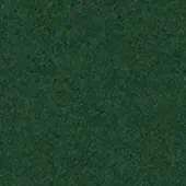 Green woven fabric sample with a dense, granular texture and consistent color, presented on a neutral background for material detail.