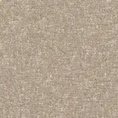 Beige woven fabric texture with granular appearance, displaying looped fibers and mottled taupe and light gray shades, MDF Italia zero r594 col. 001.