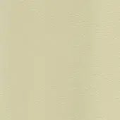 Leather beige r803 texture sample, MDF Italia collection, displays a light, mottled grain with a fine, matte, pebbled surface.