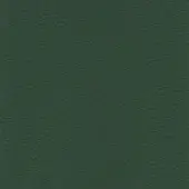 Green leather texture sample, MDF Italia collection, displaying a fine pebbled grain and matte finish with subtle tonal variations.