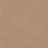Aniline leather texture, taupe color 4303, displays a fine granular pattern with a matte finish, consistent tone, and soft supple quality.