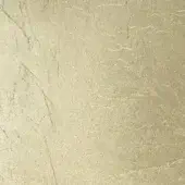 Champagne leaf decoration wall covering with mottled texture, metallic sheen, and fine linear striations creating a distressed finish.