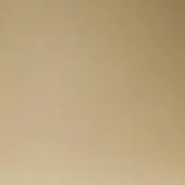 Matte gold painted surface with subtle texture, uniform tone, and diffused lighting, presenting a warm beige-gold color across the plane.
