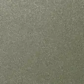 Fine texture paint sample E60 Highland, muted gray with green-beige speckles, matte finish, dense granular texture, uniform application.