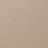 Champagne texture paint sample, granular surface, warm beige tone, diffused light reflection, consistent texture, neutral color, subtle golden undertone.
