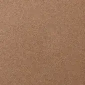 Fine texture paint sample, canyon color, granular surface with mottled reddish-brown shades and matte finish, studio shot with label detail.